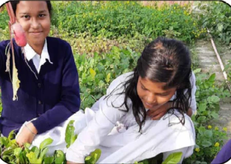 Students in nature learning